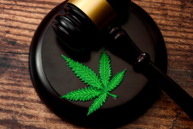 Cannabis Law